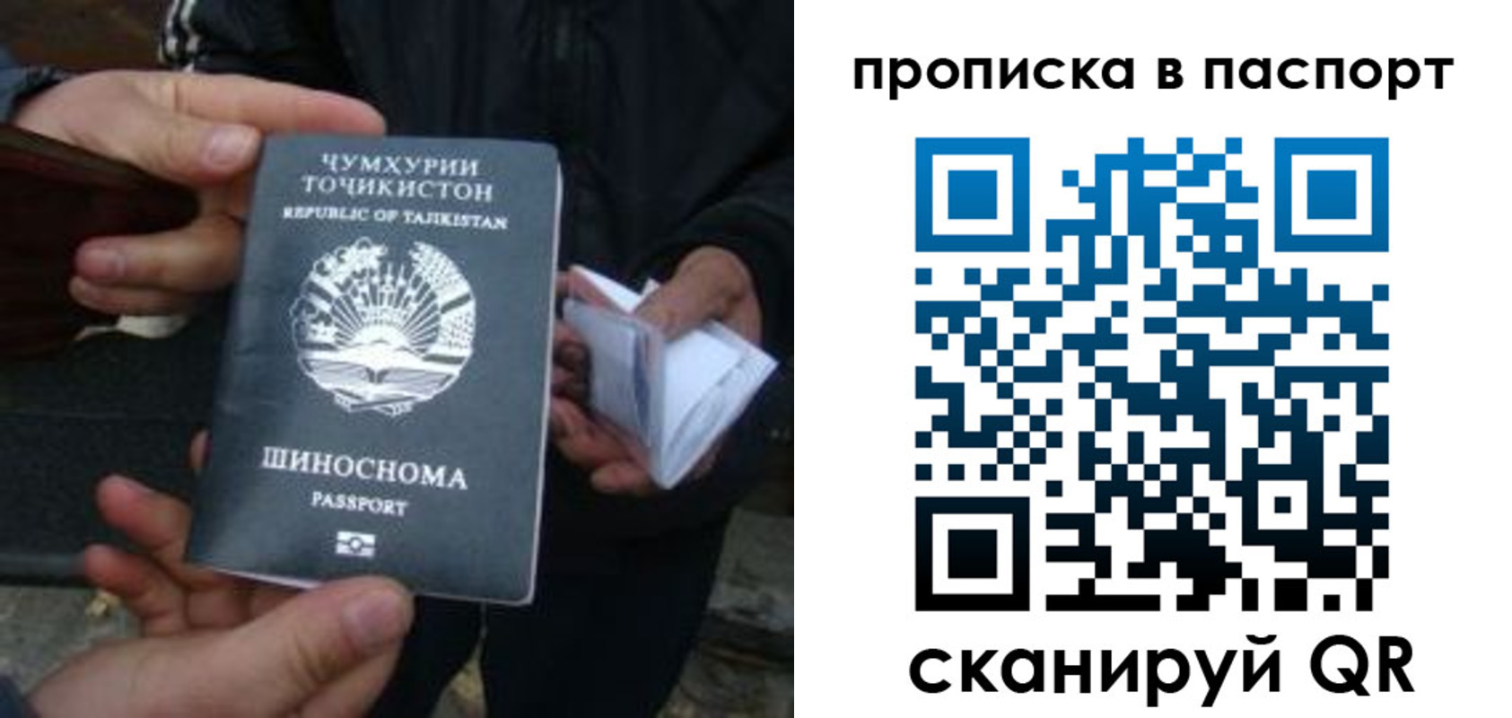 временная регистрация гарантия в Оренбурге